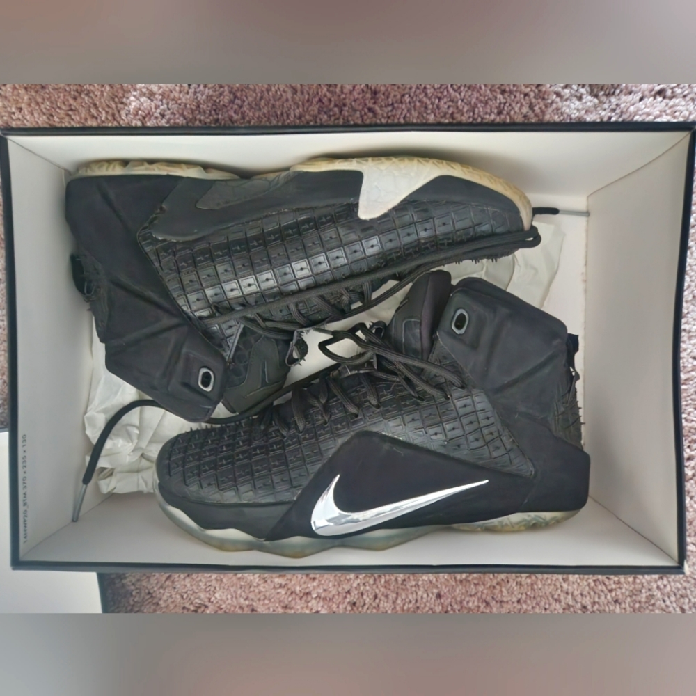 Nike Lebron Xll